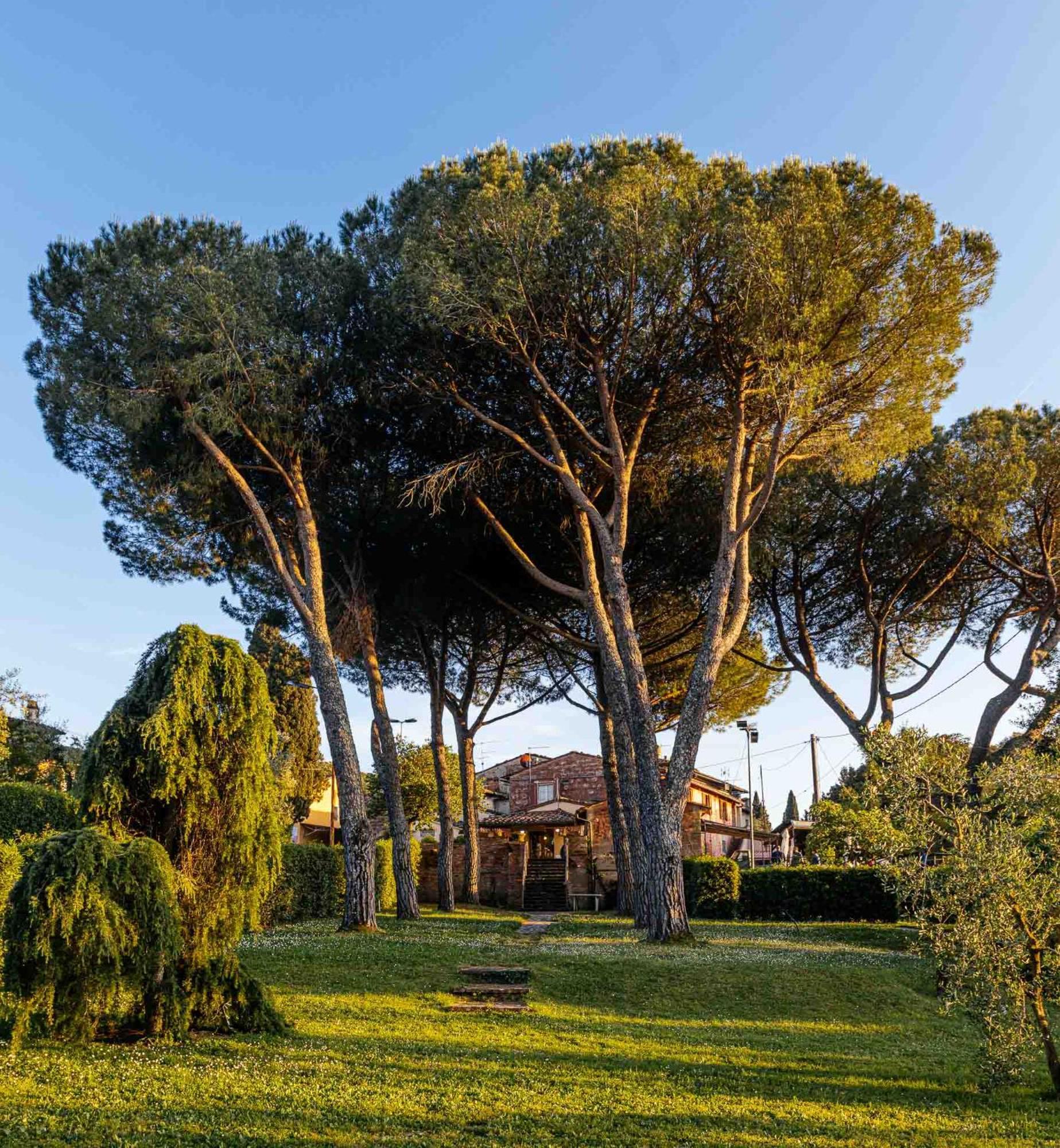 Collebrunacchi B&B Σαν Μινιάτο Εξωτερικό φωτογραφία